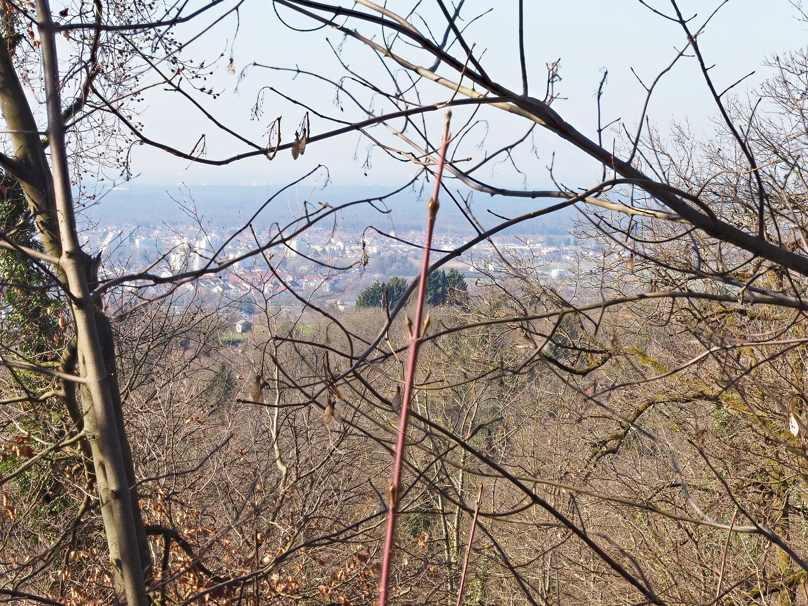 Blick auf Leimen