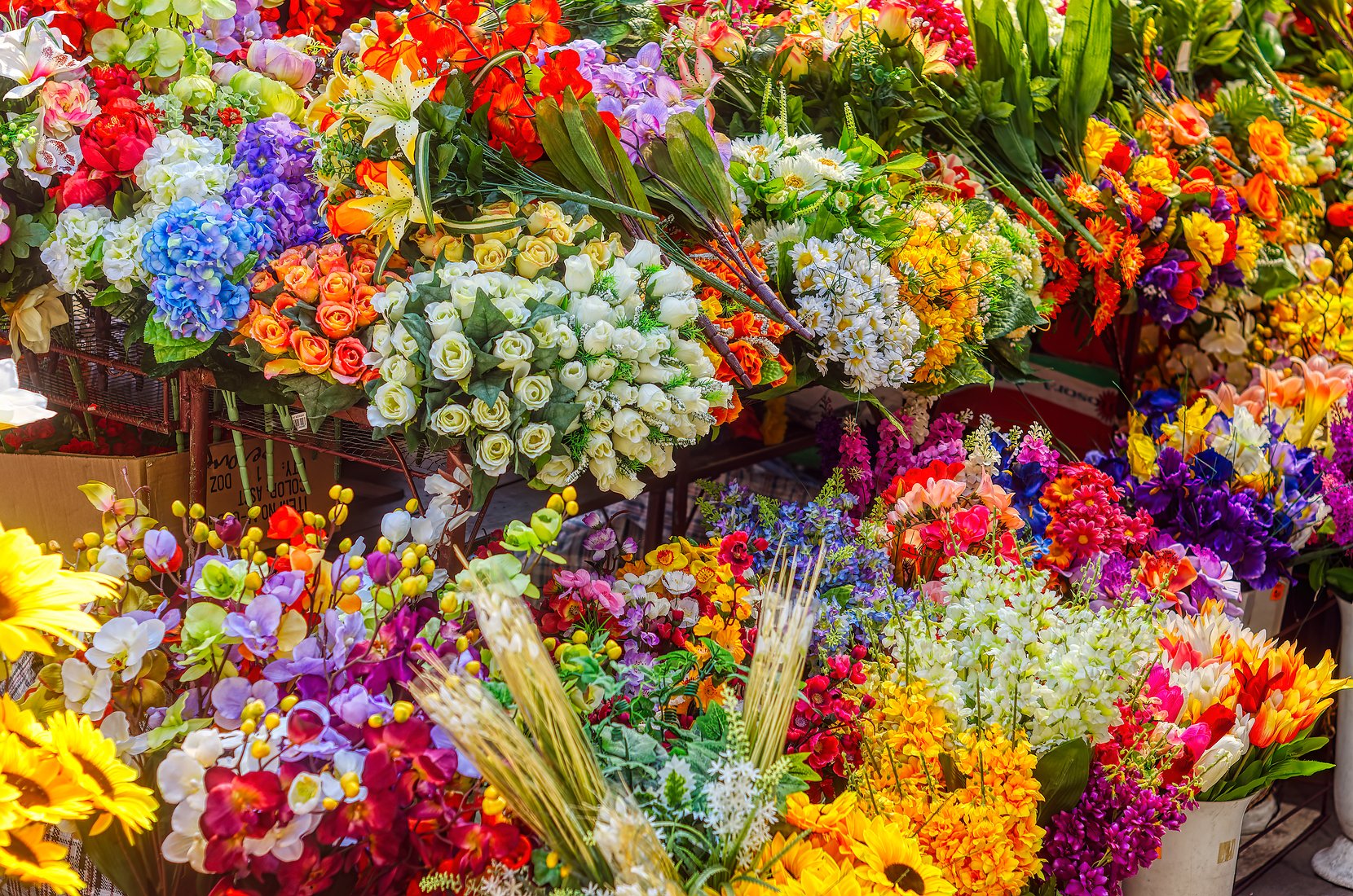Prächtige Blumen