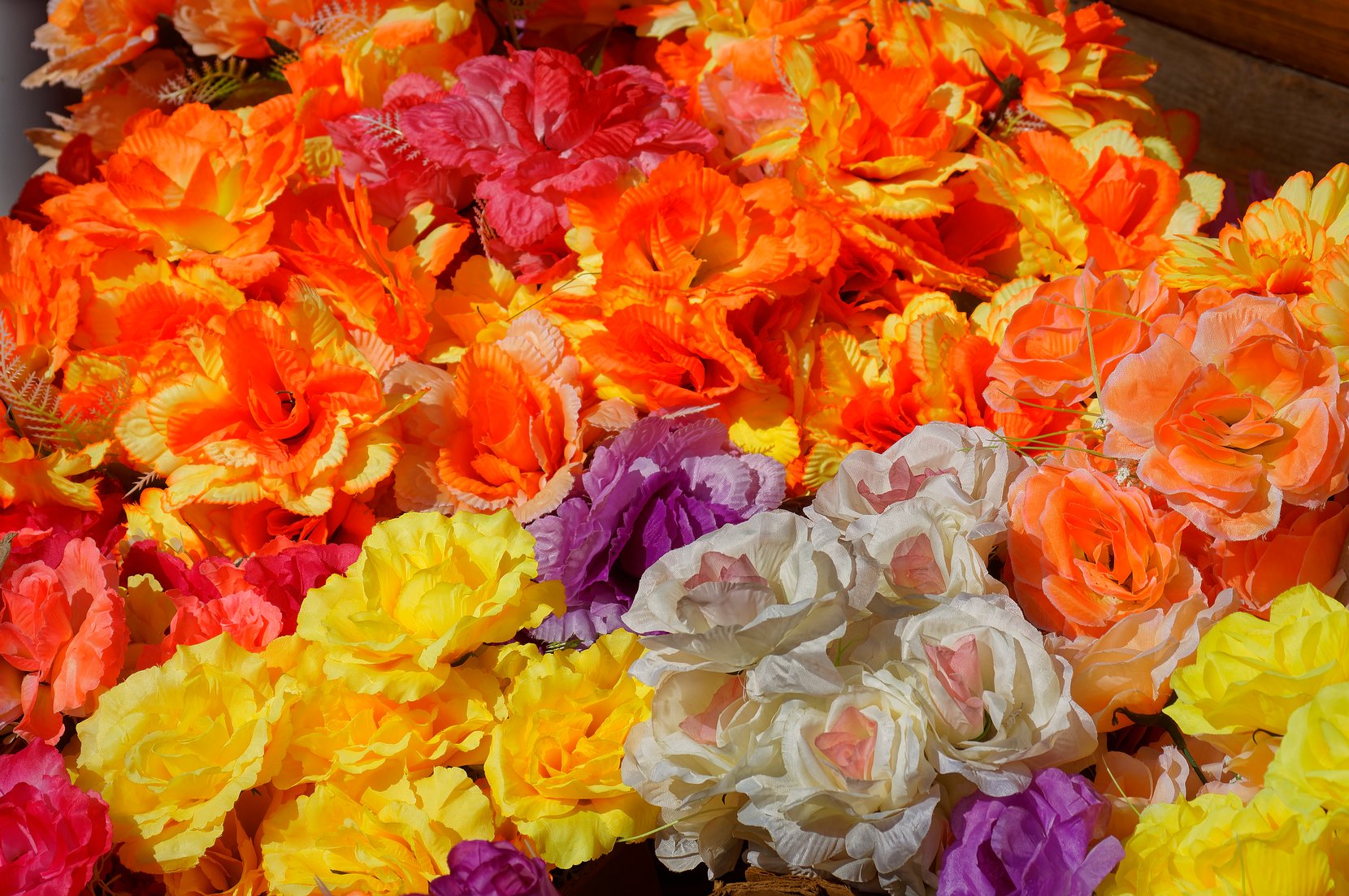 Blüten