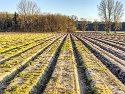 _C311082A