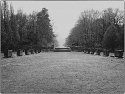 Ehrenfriedhof Heidelberg