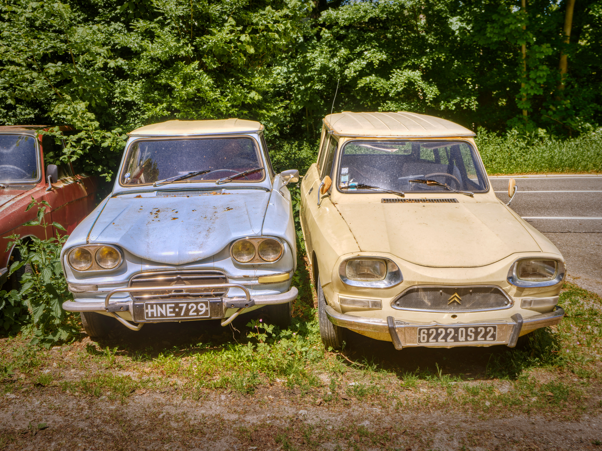 _5250397-ORF_DxO_DeepPRIMEXD_DxO-2