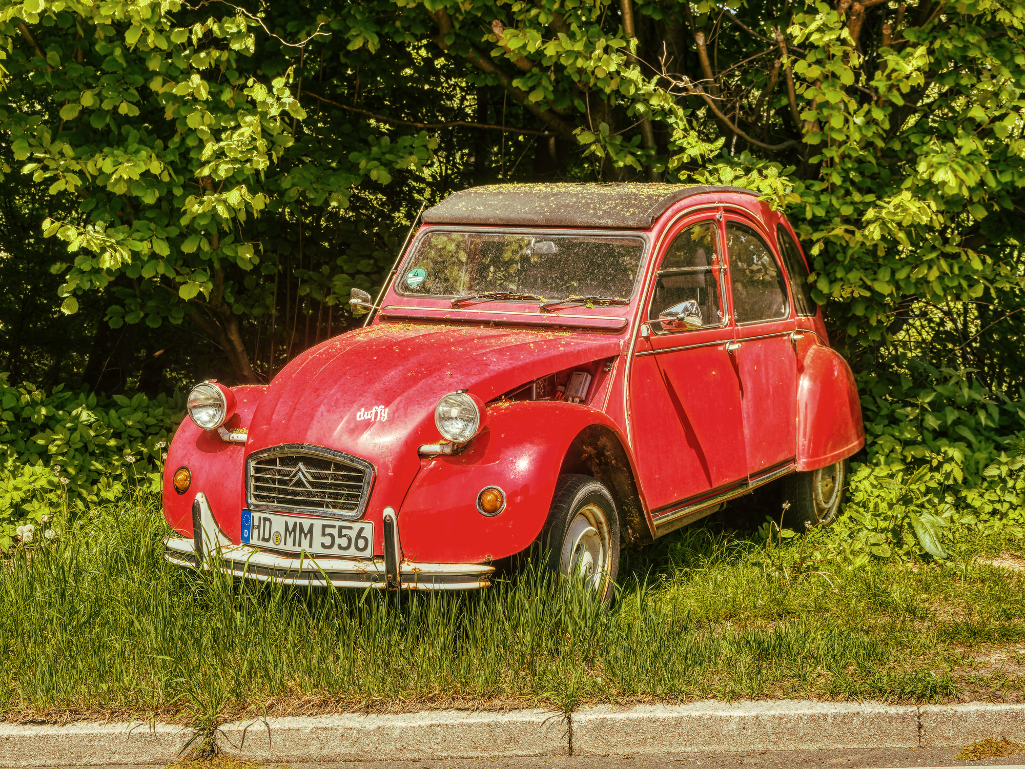 _5250407-ORF_DxO_DeepPRIMEXD