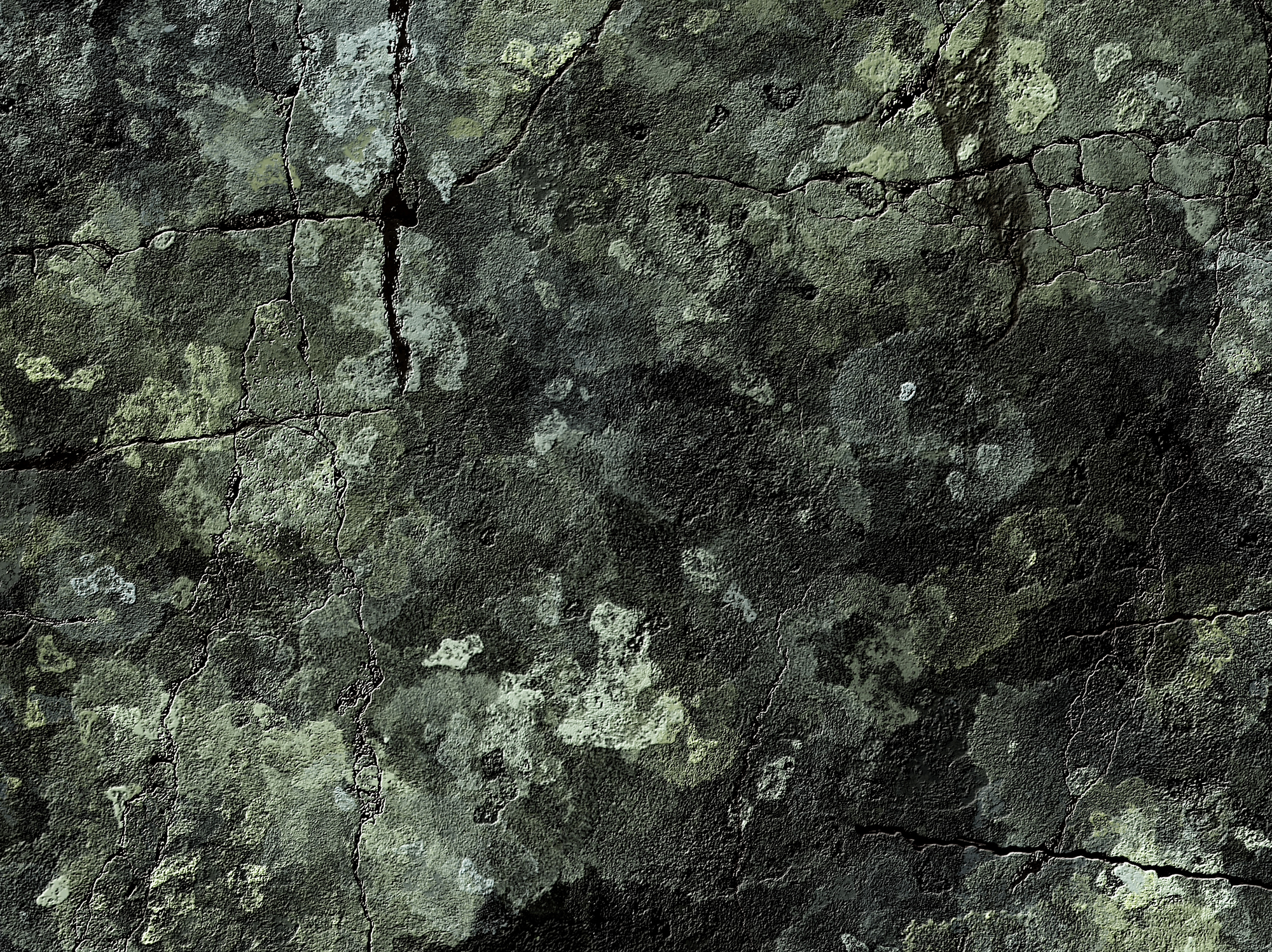 Cracked Lichen_Radiant