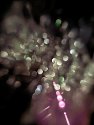 IMG_20250714_103310_Radiant