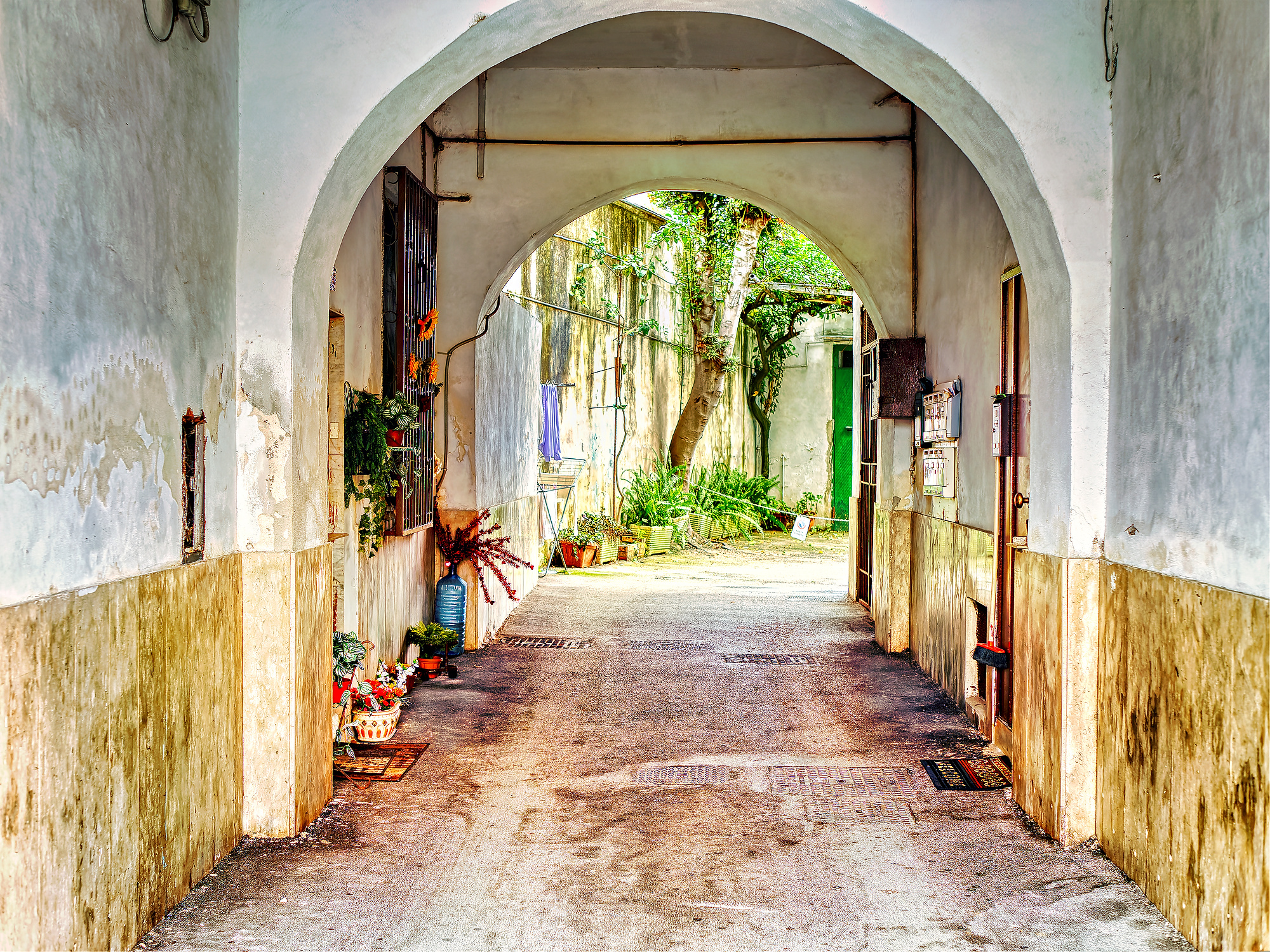 _C122589-ORF_DxO_DeepPRIMEXD