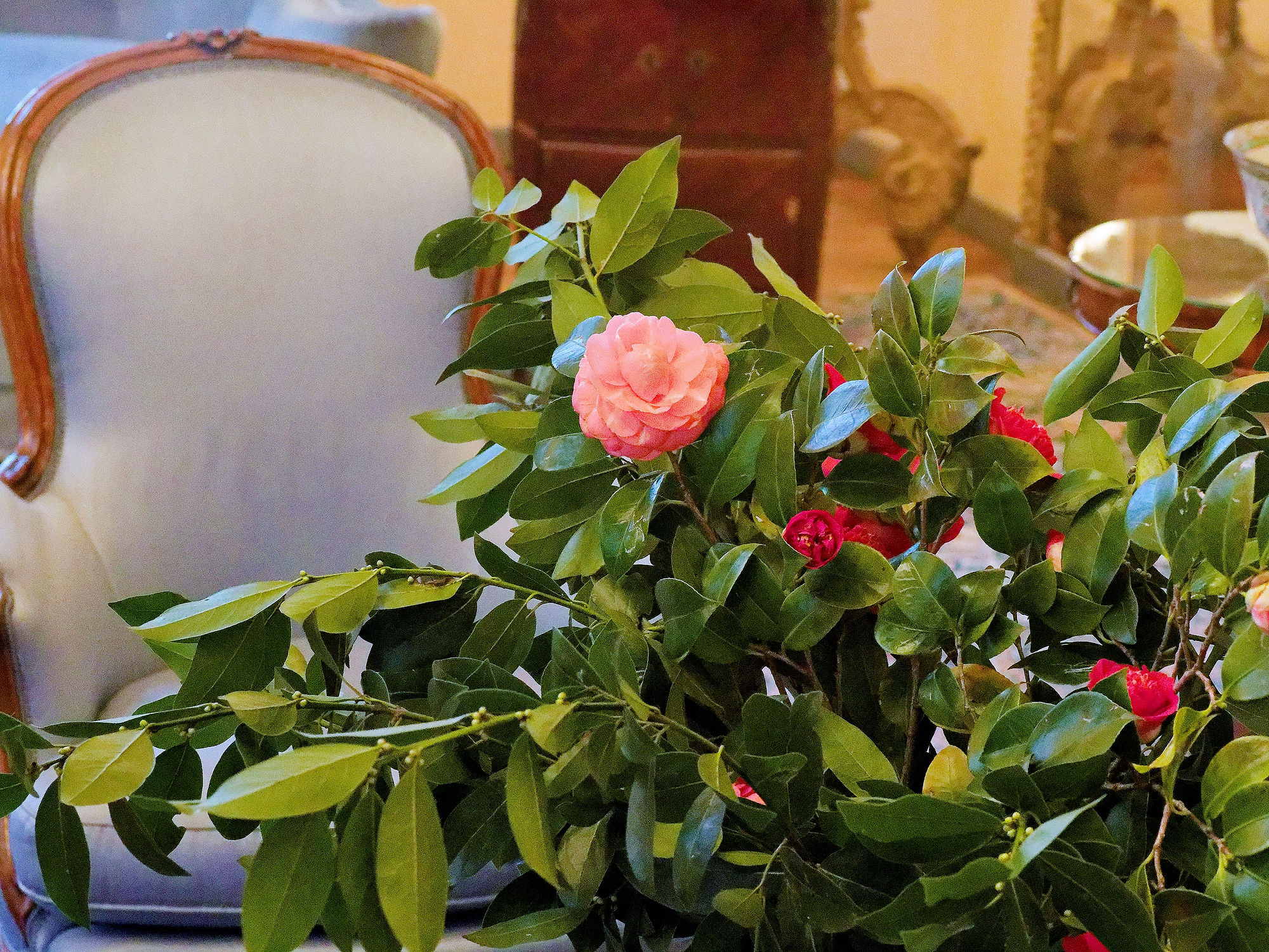 _3090358_DxO_Radiant