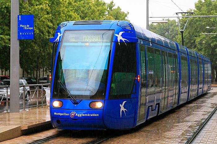 traminmontpellier