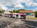 20240512-_5120293-ORF_Radiant_Nik
