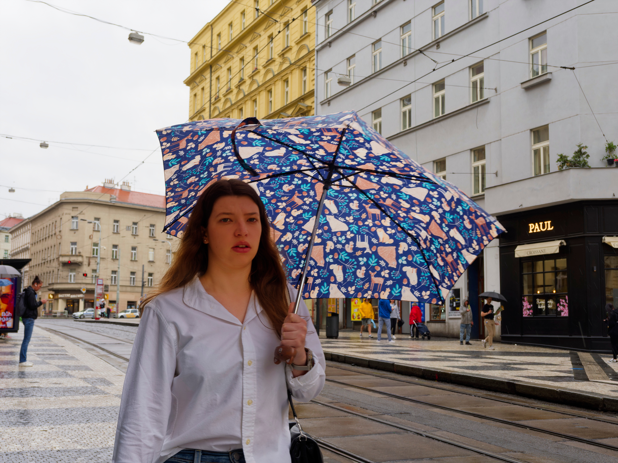 _5171116_Nik-1_NIK