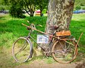 _5010060_DxO_Radiant-1