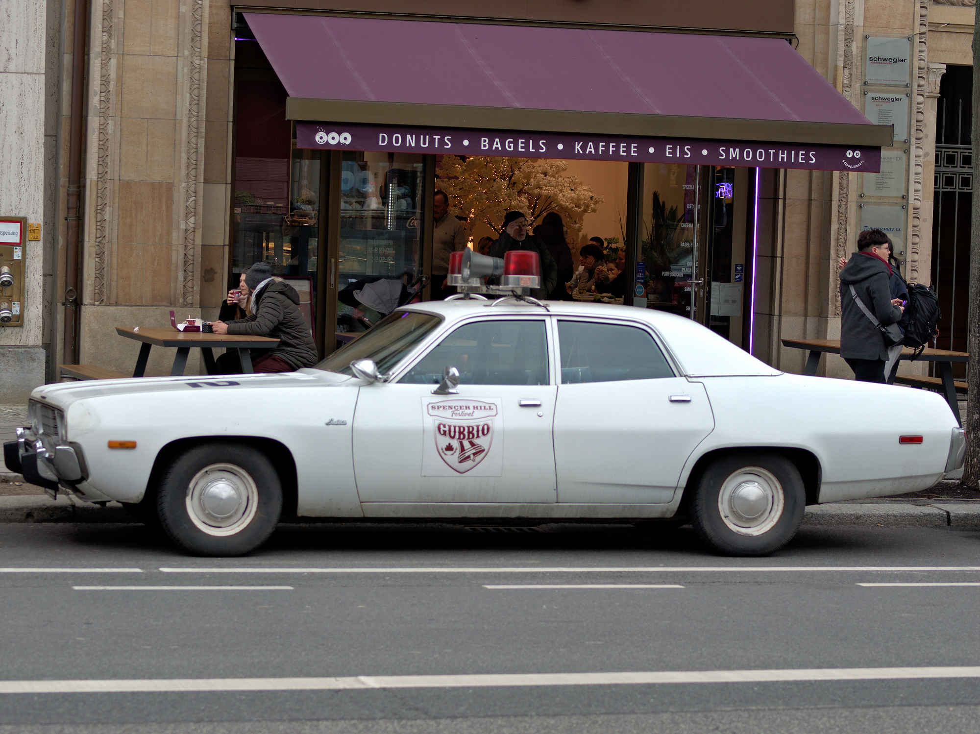 P2170524Abeto Gris Kontrast 16-1A