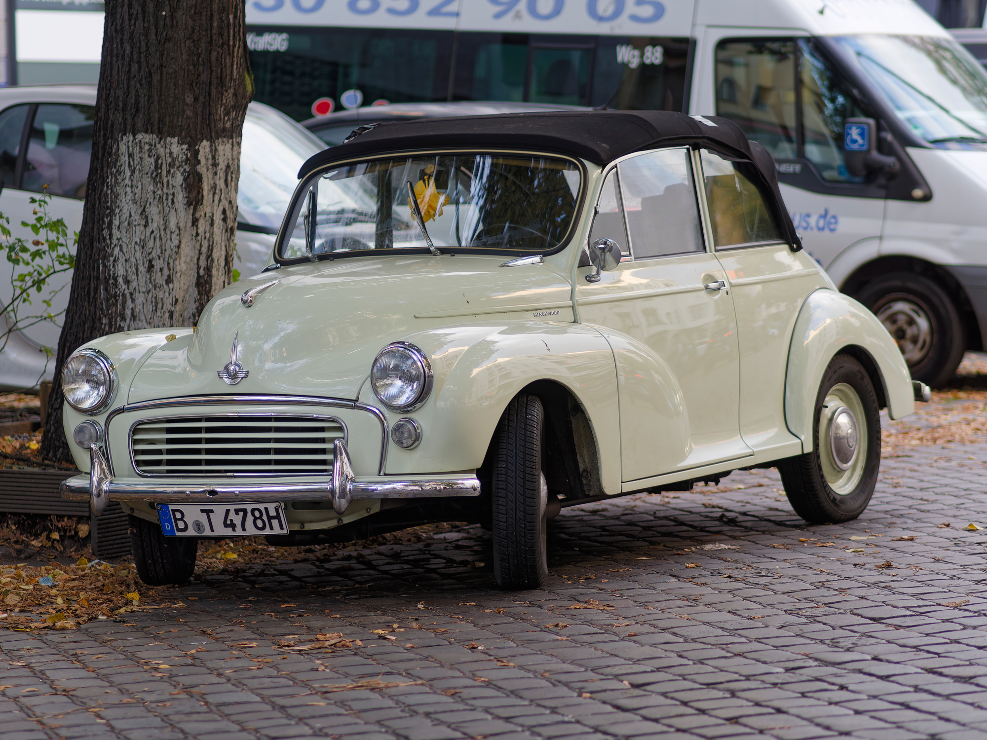 _A110028D_DxO