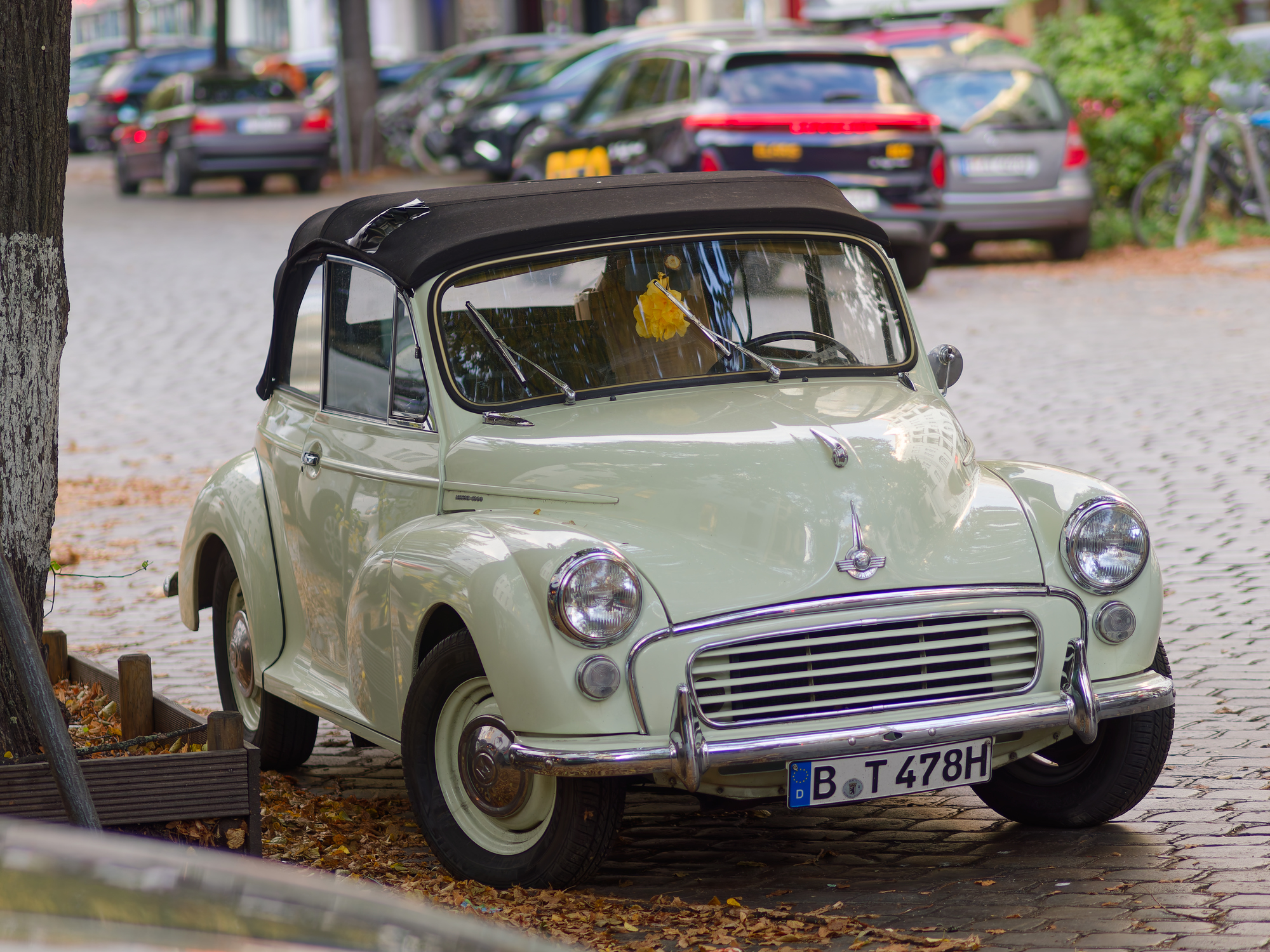 _A110030D_DxO