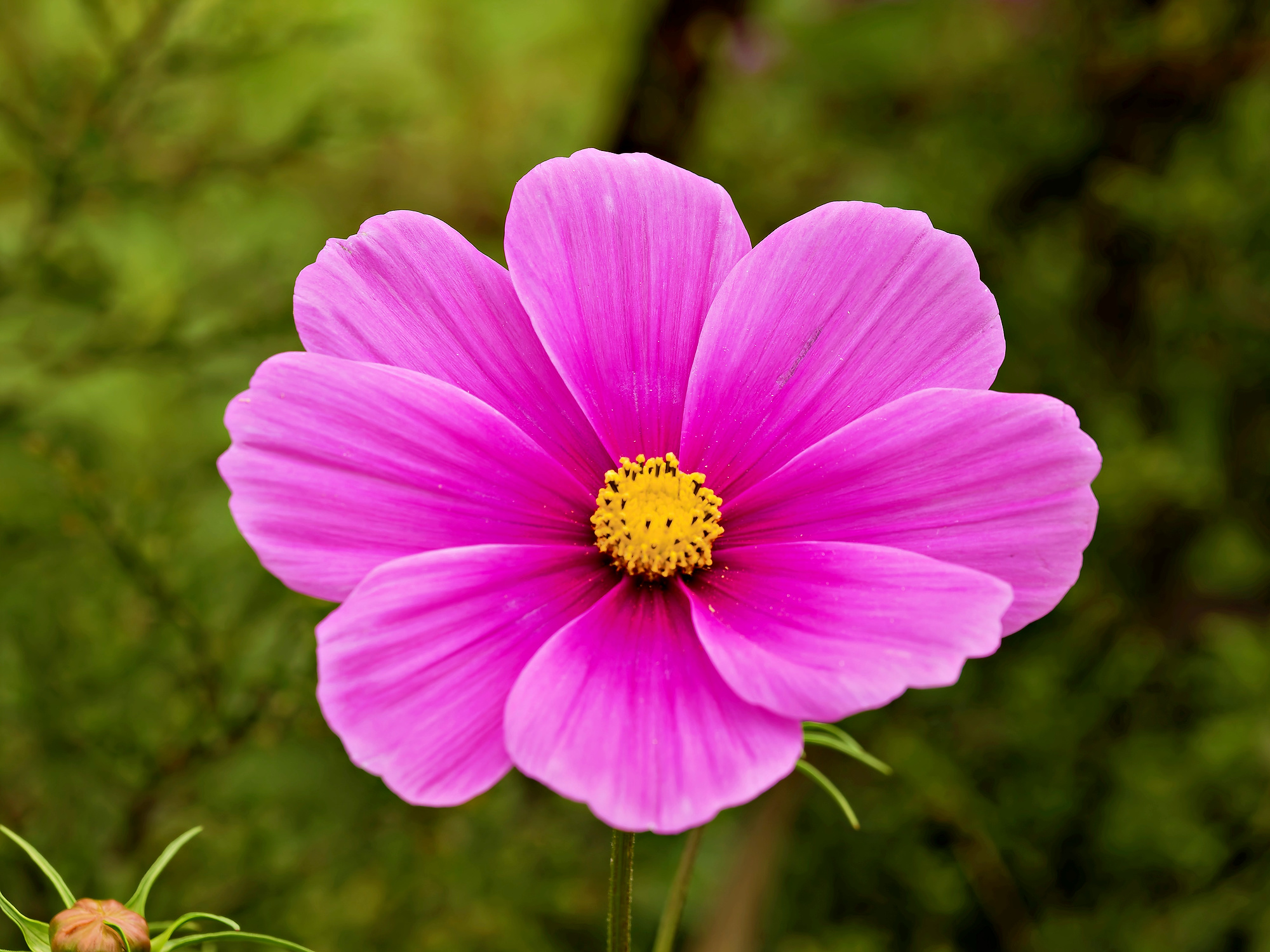 _9190708_DxO_Radiant