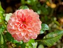 _A130035_DxO_Radiant