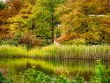 _A130056-topaz-denoise-3