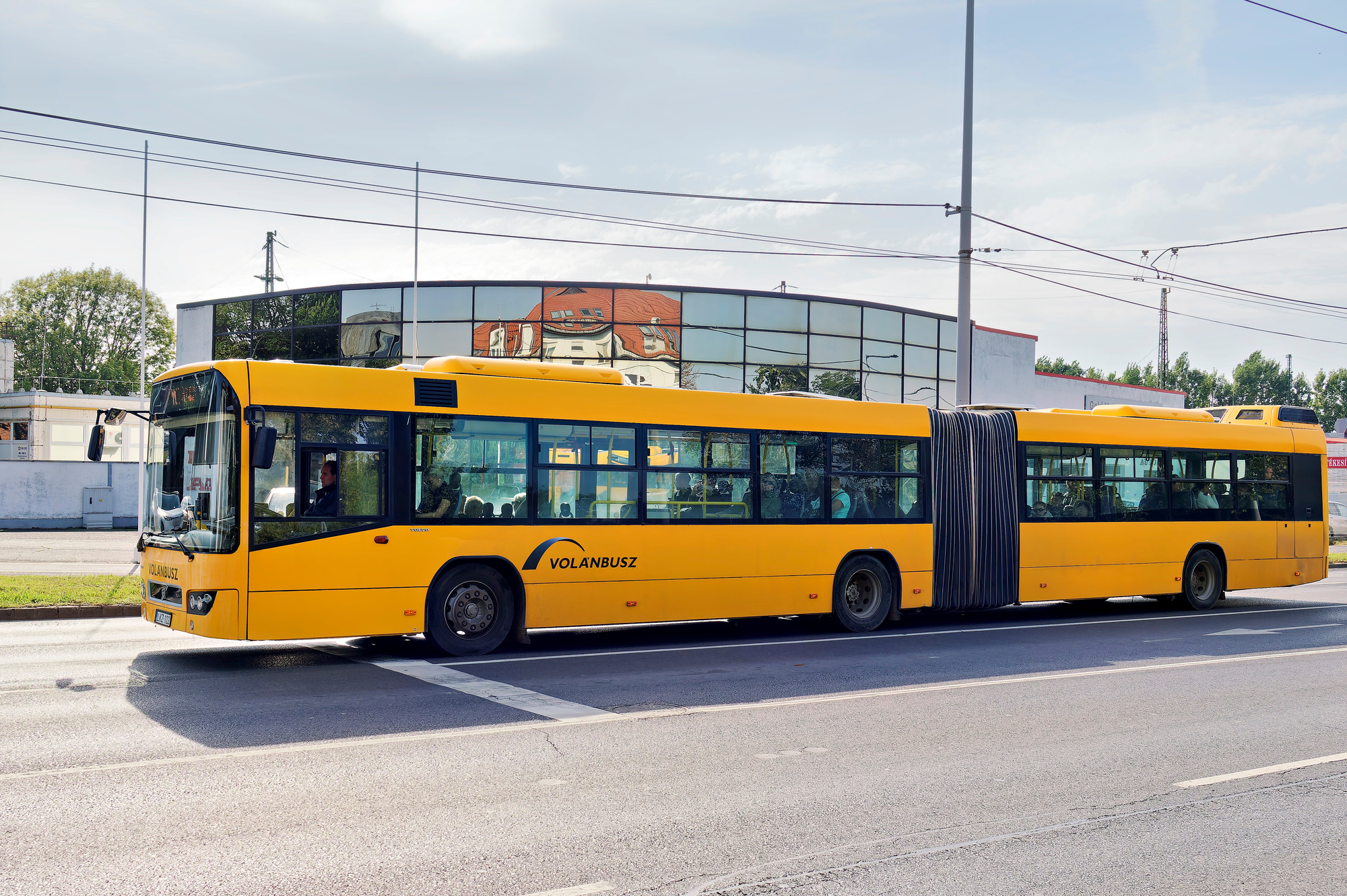 _9180384_DxOWaldgrün100-1
