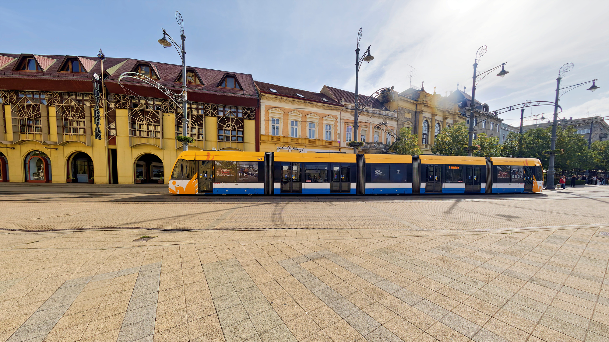 _9180489_DxOWaldgrün100-2