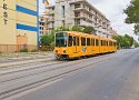 _9251037_DxO-1_Radiant