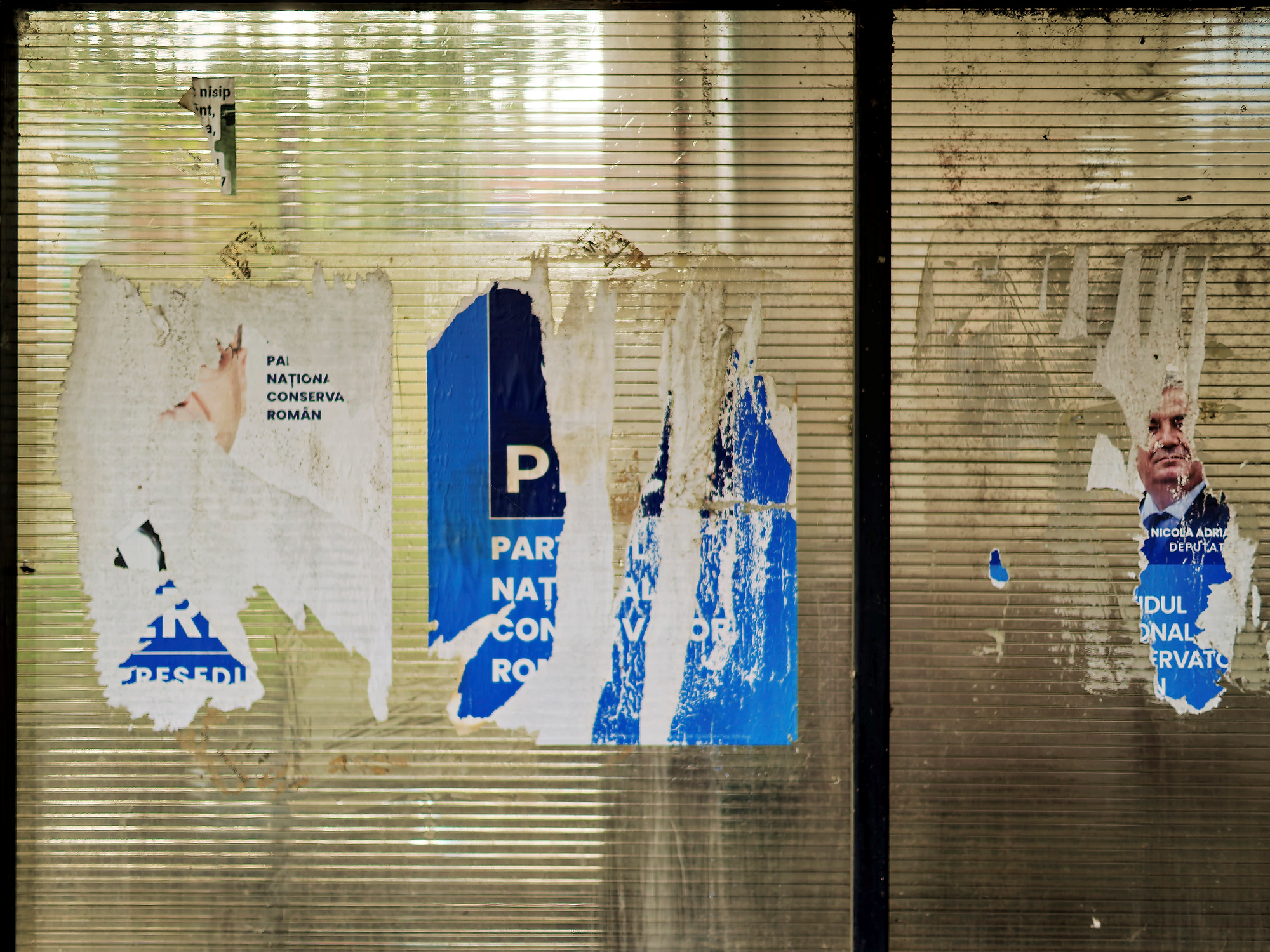 _6300270_DxO_RadiantA