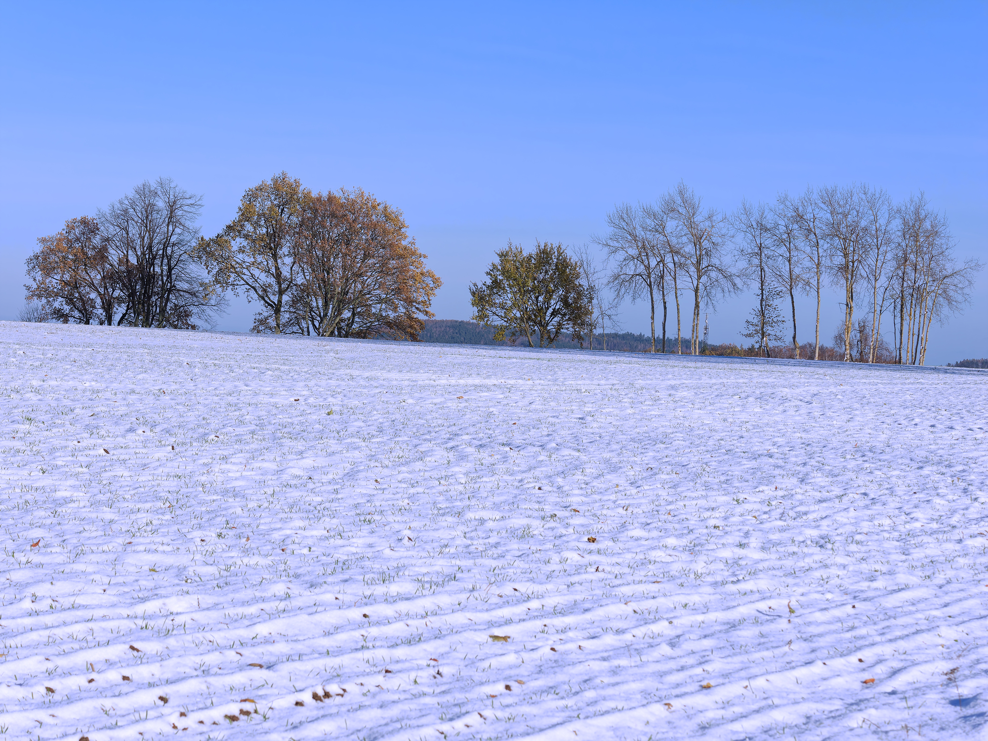 PB230014_DxO