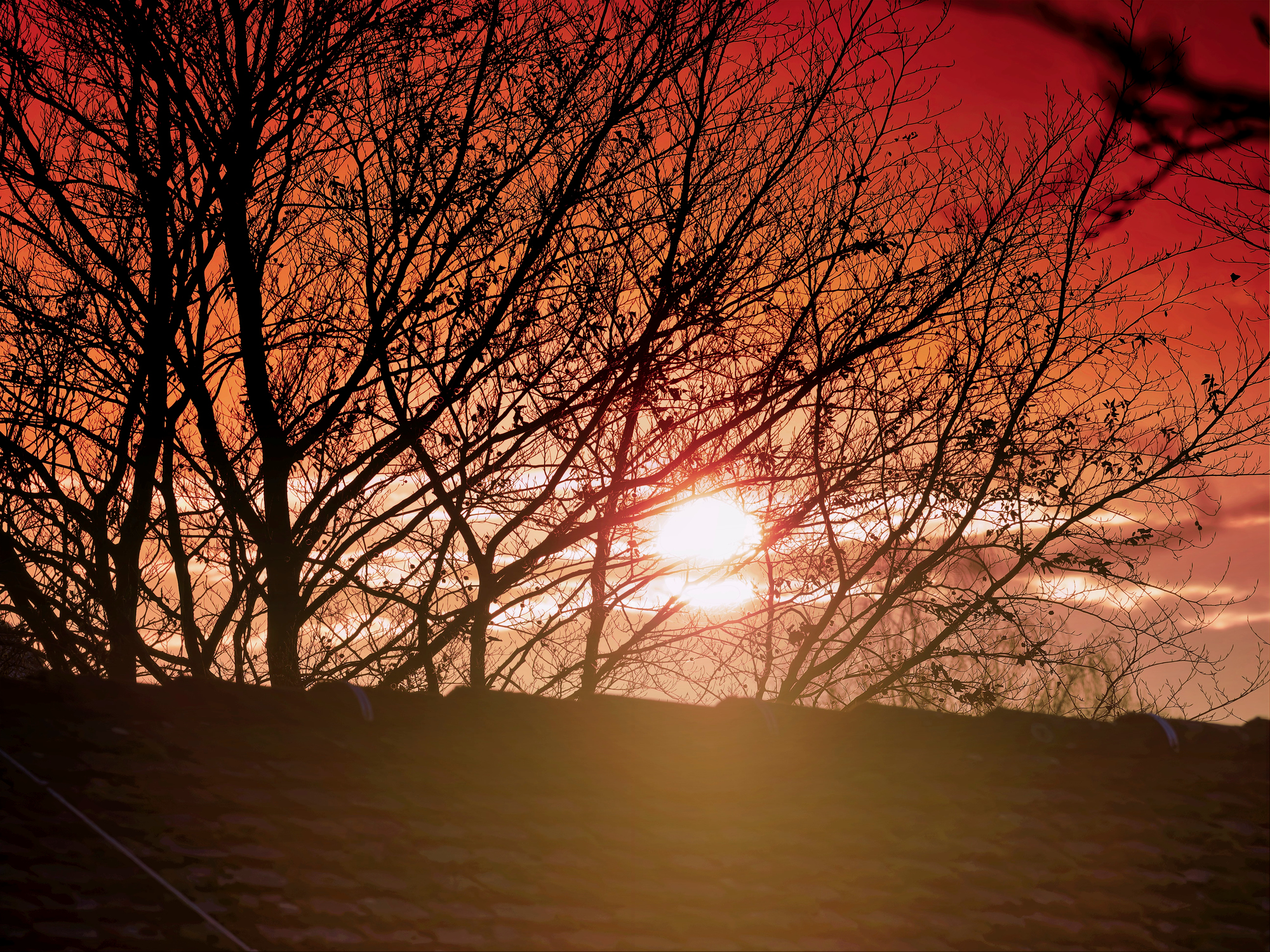 _B260069_DxO_Radiant