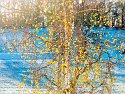 PB230001_DxO_Radiant