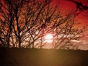 _B260069_DxO_Radiant