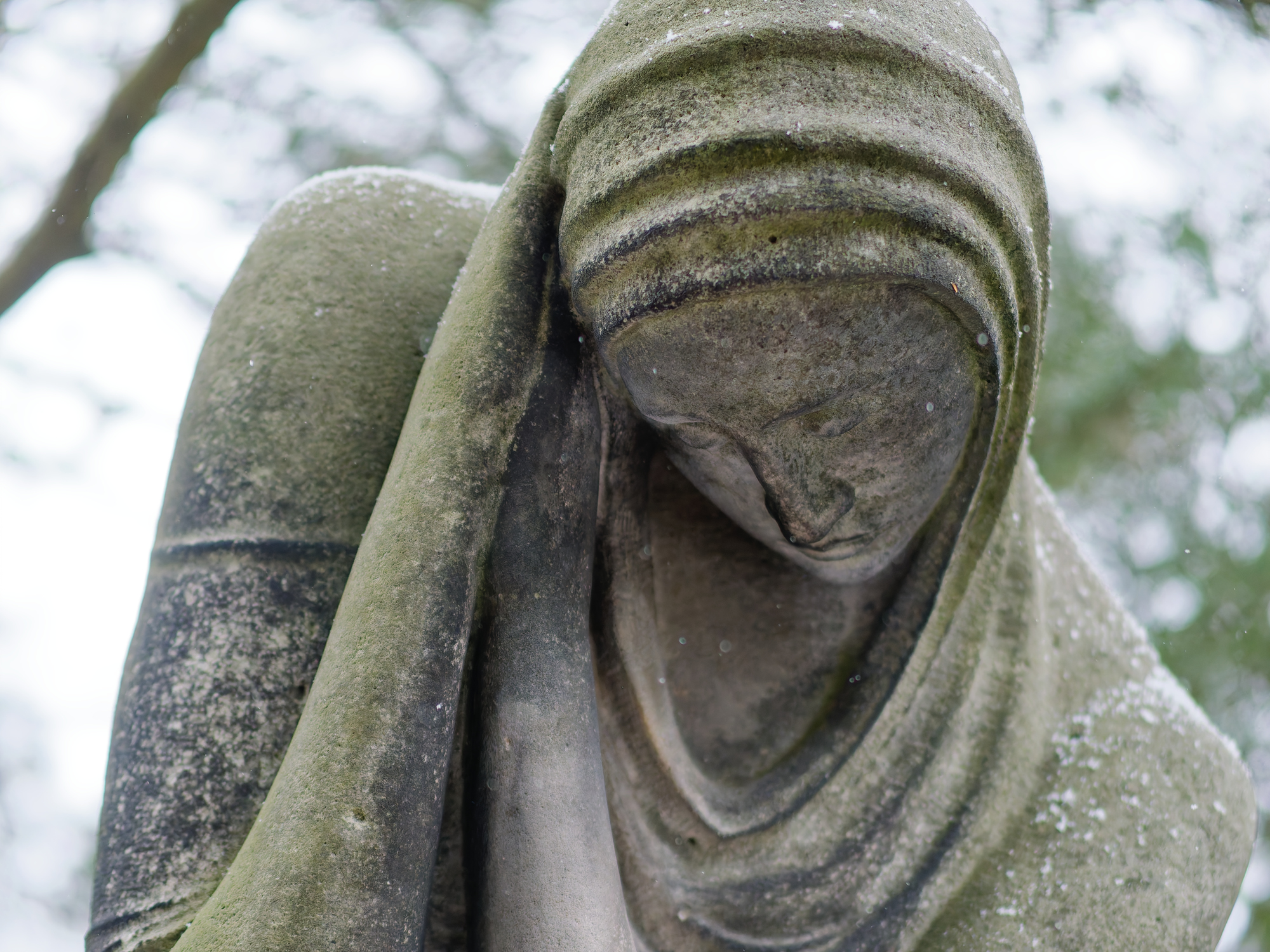 PB220030_DxO