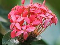_C151662_DxO_Radiant