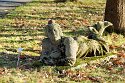 _C151762_DxO_Radiant