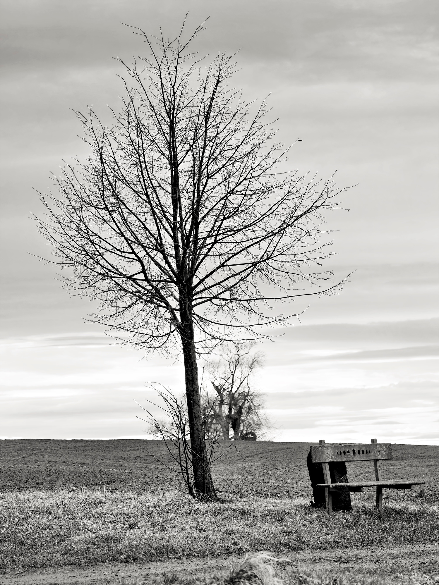 _C182054_DxORich Black and White