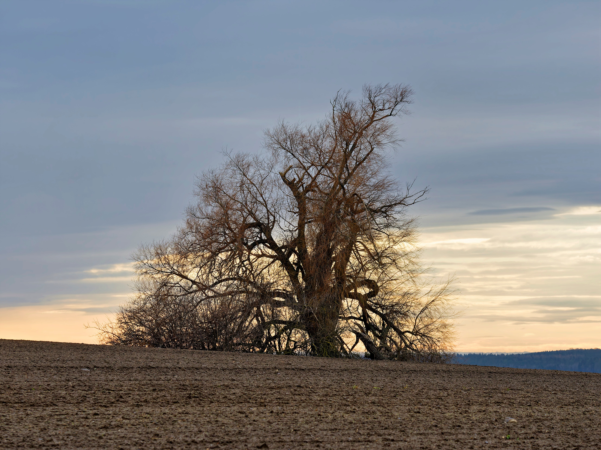 _C182056_DxOLandscape Auto Radiant
