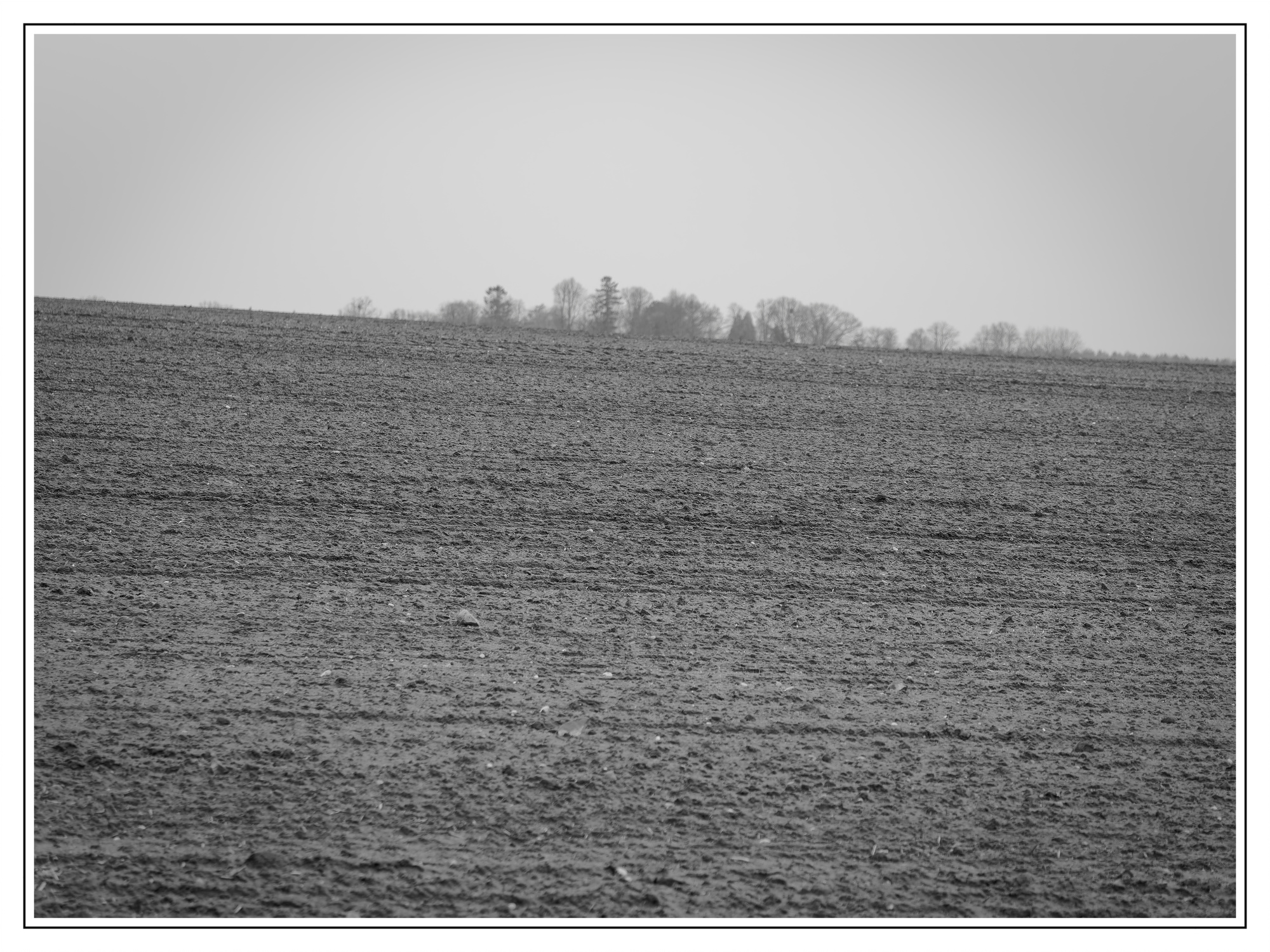 _C182061_DxO