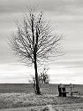 _C182054_DxORich Black and White