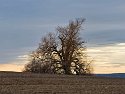 _C182056_DxOLandscape Auto Radiant