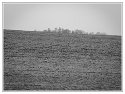 _C182061_DxO