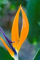 _C151622_DxO-2_Radiant