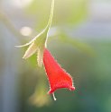 _C151822_DxO_Radiant
