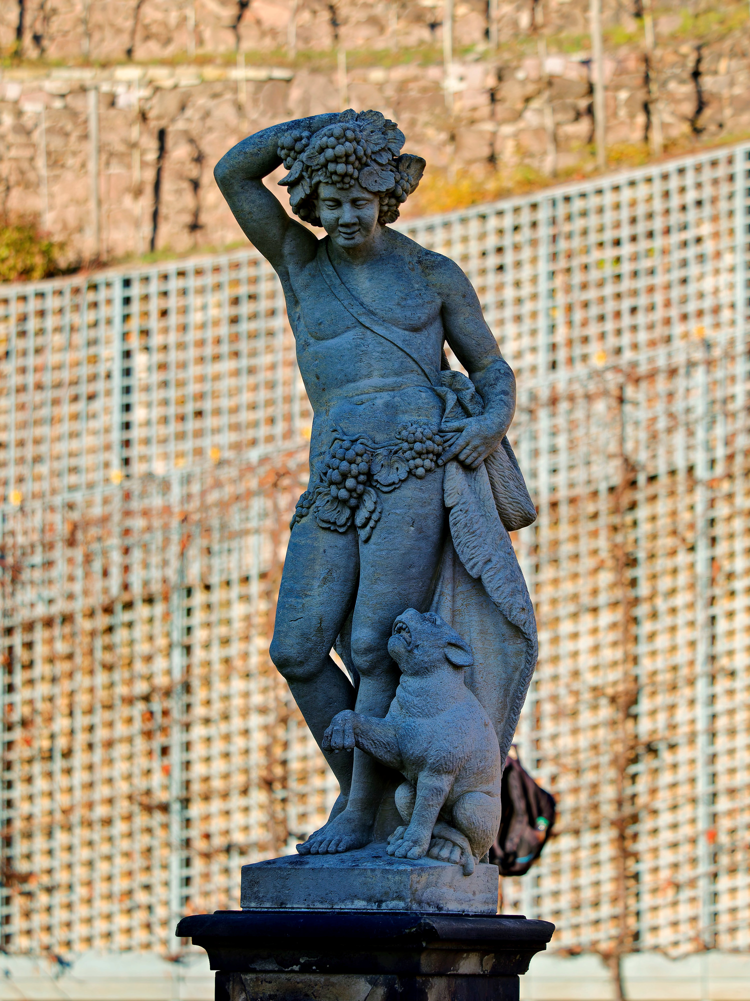 _B300158_DxO_Radiant_DxO