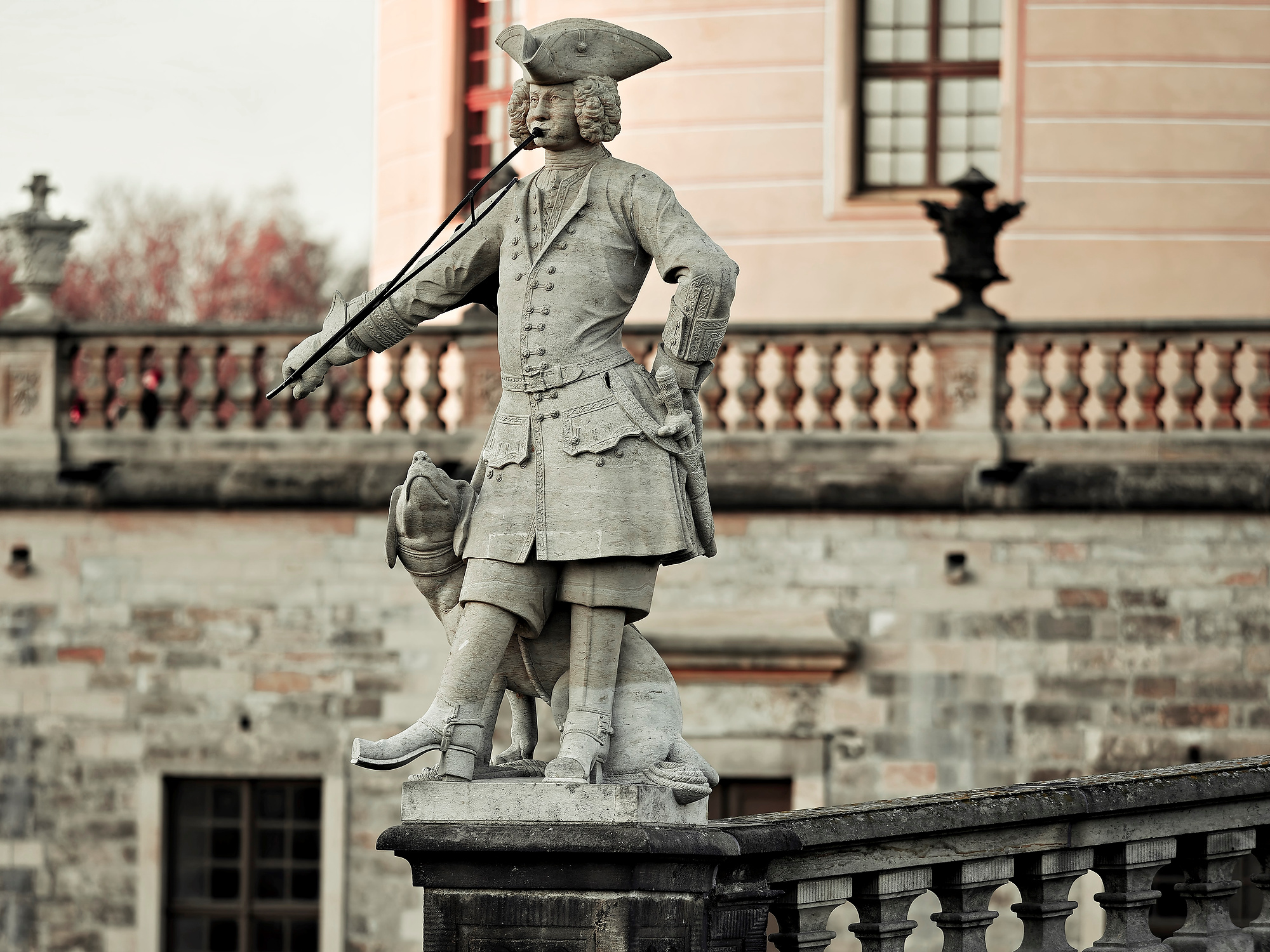 _B300232_DxOBirds Afternoon 1-2