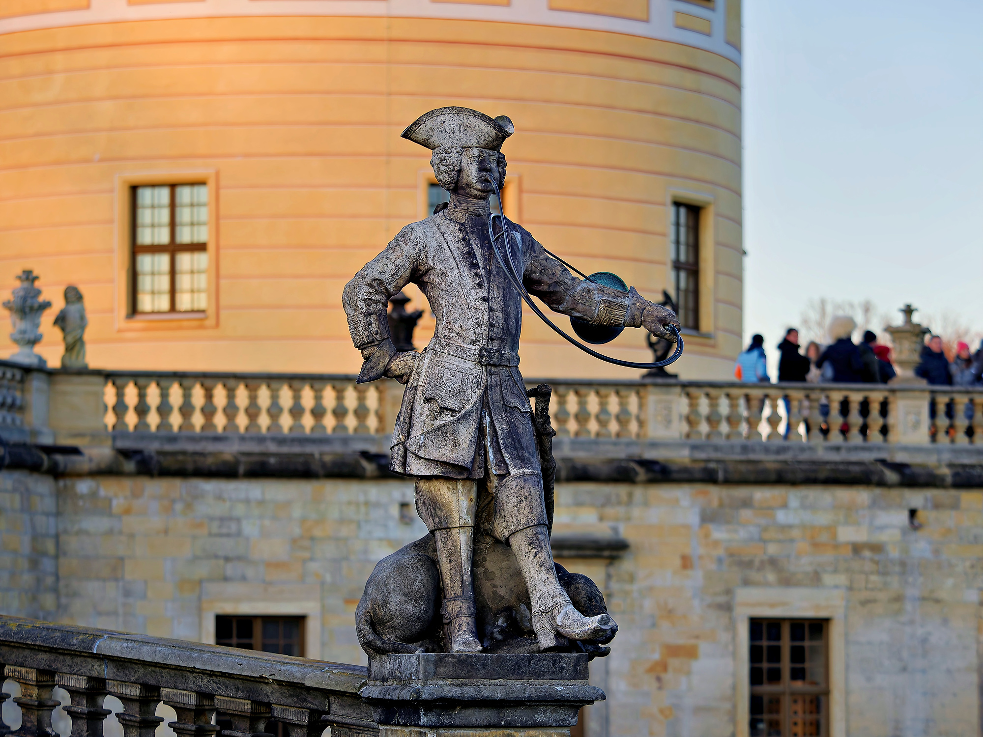 _B300233_DxOBirds Afternoon 1