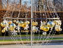 _B300218_DxO_Radiant-1