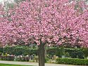 IMG_20260419_090411[1]_Radiant