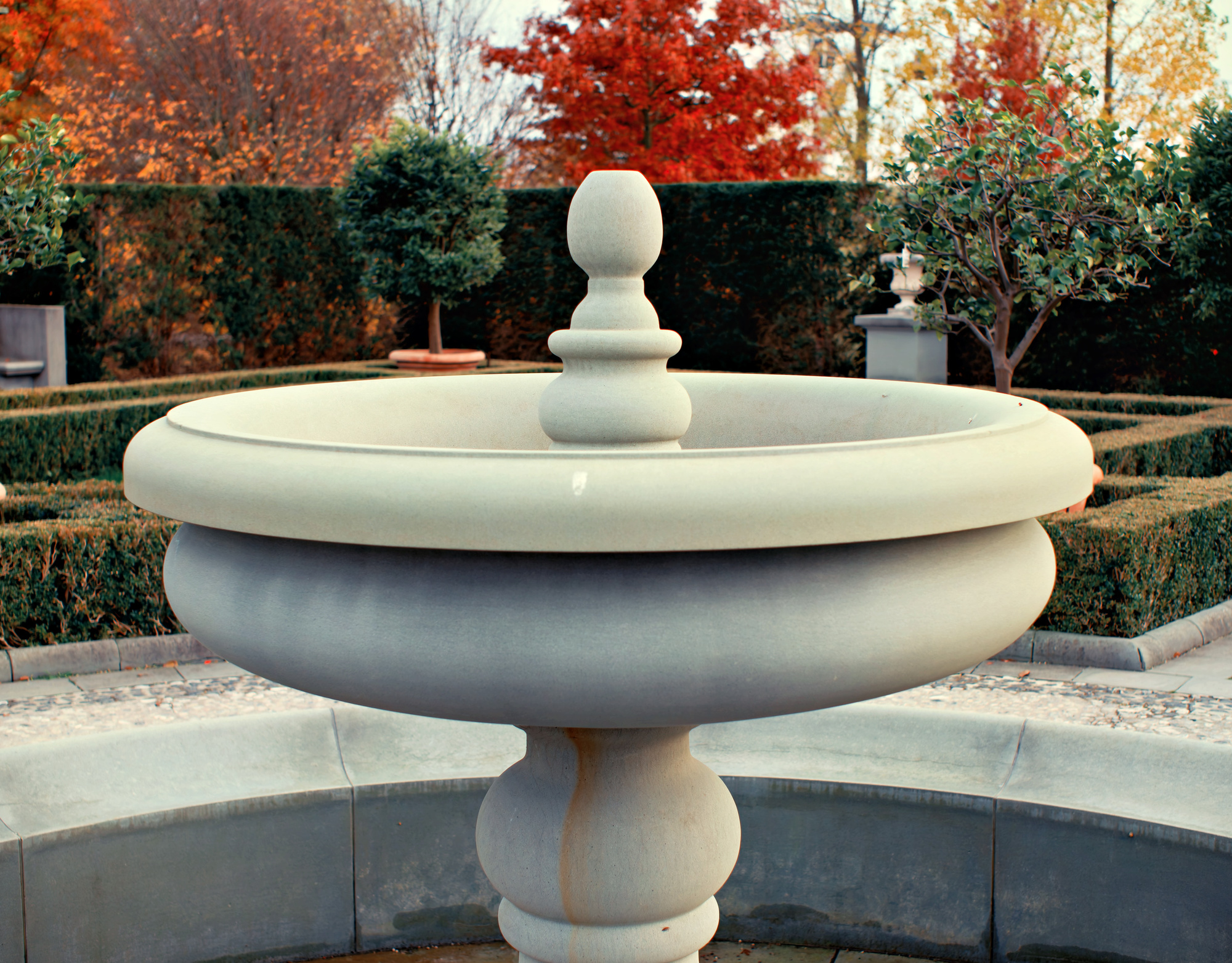 PA310151_Nik_Radiant