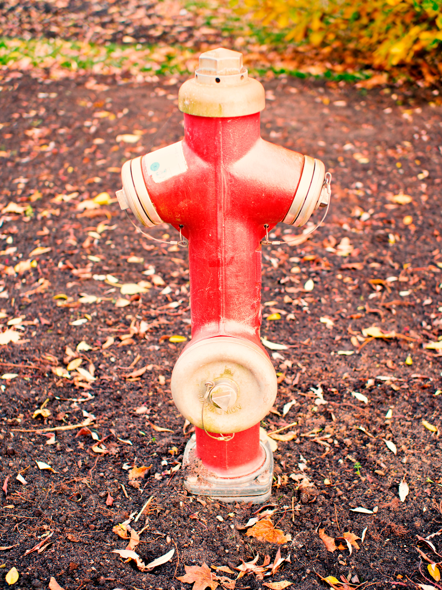 PA310159_DxO_Radiant