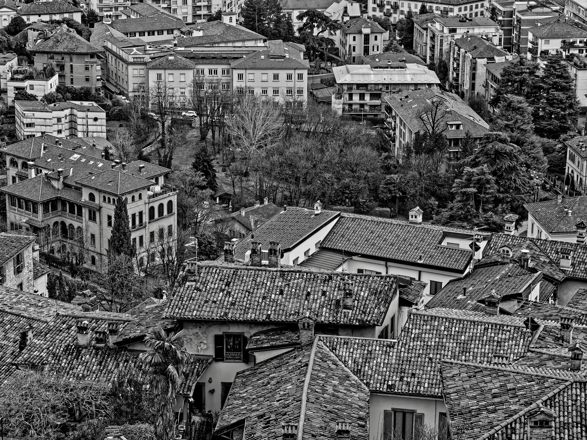 _2260097_DxO