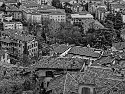 _2260097_DxO