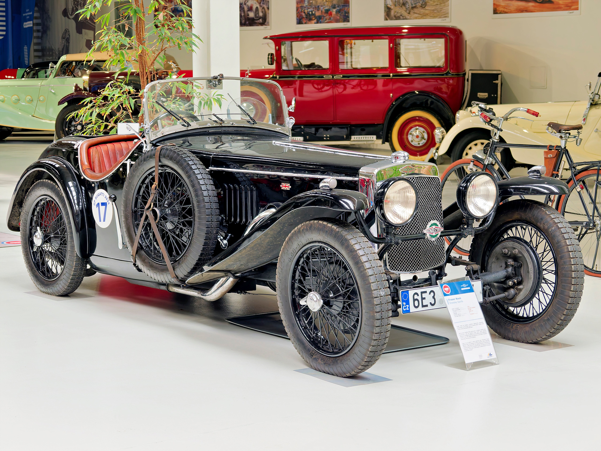 _7010609_DxO_Radiant